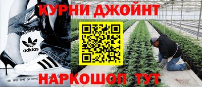 ГАЛЛЮЦИНОГЕННЫЕ ГРИБЫ Будённовск