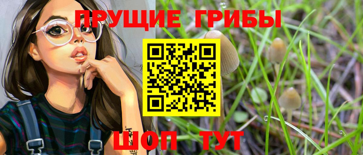 Истра  Галлюциногенные грибы Cubensis  Галлюциногенные грибы Cubensis  Вход с VPN 